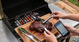 15 Best Wireless Meat Thermometers for Grilling in 2026