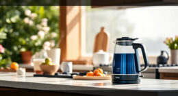 Beat the Summer Rush with the Ninja KT200BL Precision Electric Kettle
