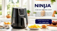 Summer Care Tips for Your Ninja 4-Qt Air Fryer