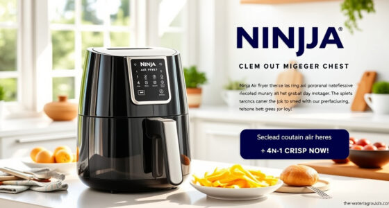 Summer Care Tips for Your Ninja 4-Qt Air Fryer