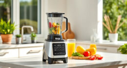 Summer Care & Troubleshooting for Your Ninja Professional Blender