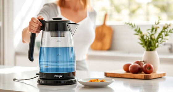 Summer Sips: Essential Accessories for Your Ninja KT200BL Kettle